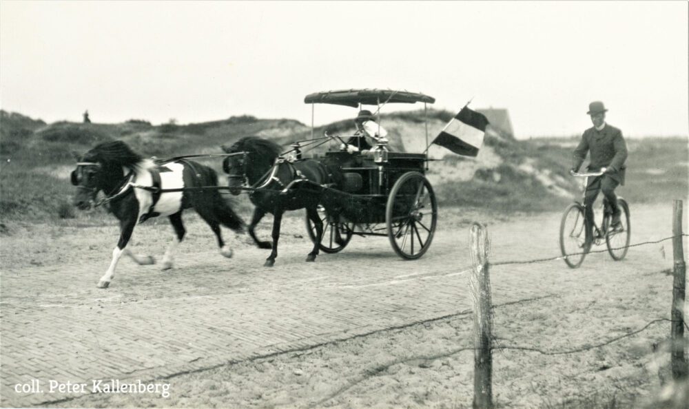 paard en wagen met fietser
