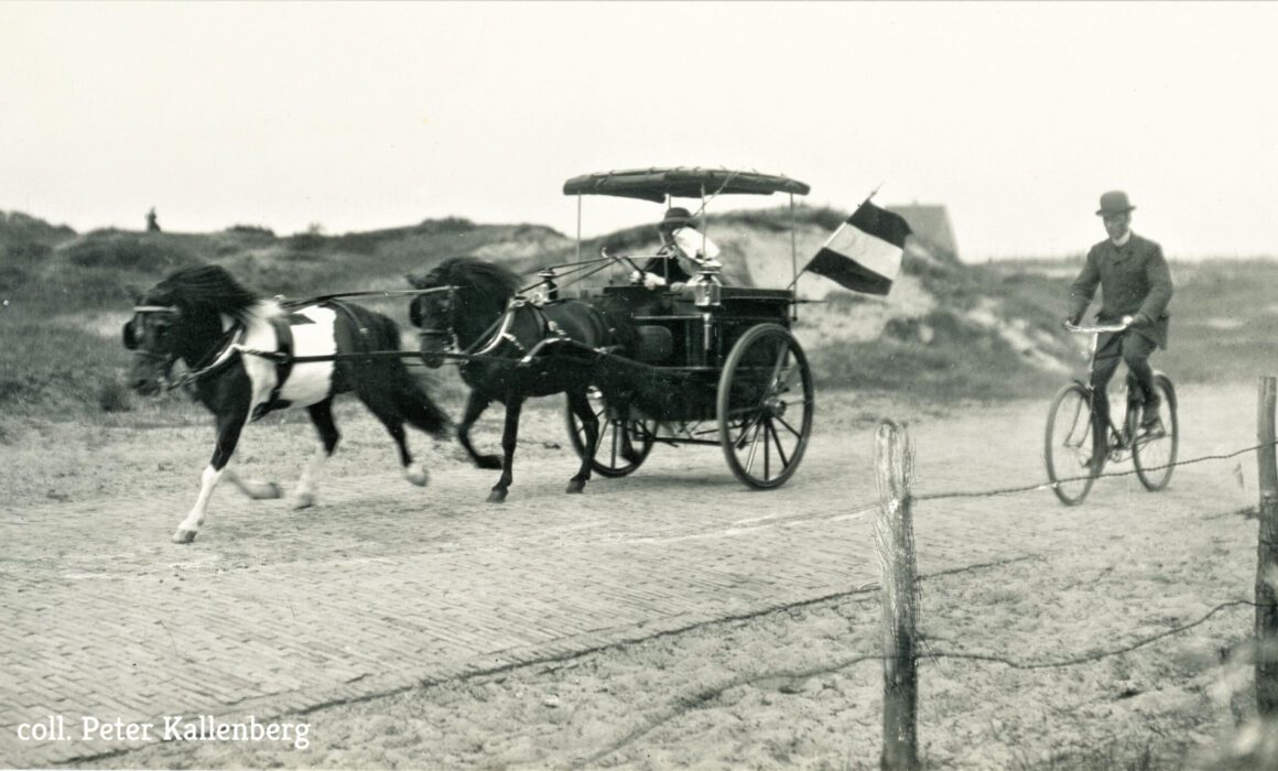 paard en wagen met fietser